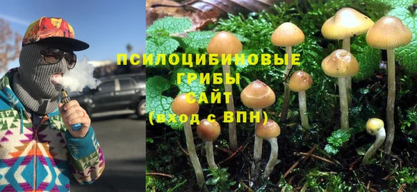 гидра Медногорск