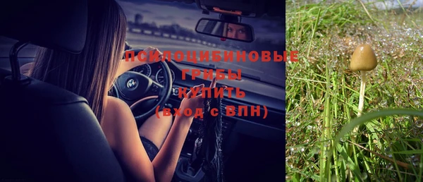 ГАЛЛЮЦИНОГЕННЫЕ ГРИБЫ Медвежьегорск