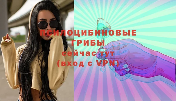 ГАЛЛЮЦИНОГЕННЫЕ ГРИБЫ Медвежьегорск