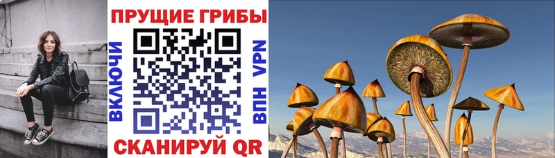 Галлюциногенные грибы мицелий  даркнет сайт  Малоархангельск 